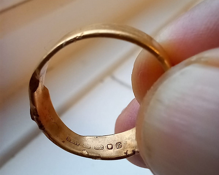 goldring1.jpg