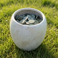 Roman Coins Hoard