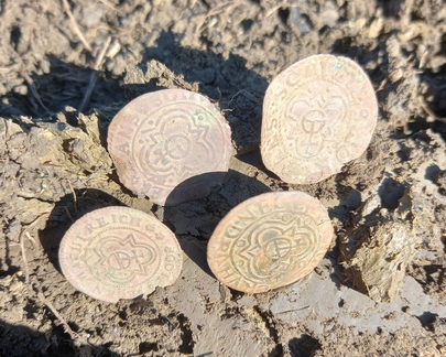 Mini Coin Hoard