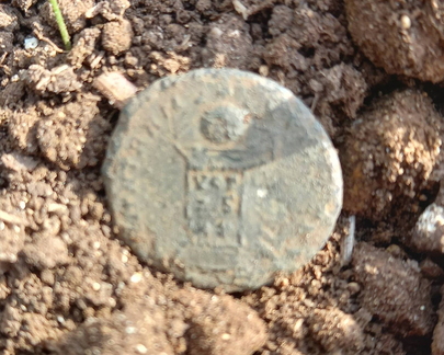 Roman coin 1/2